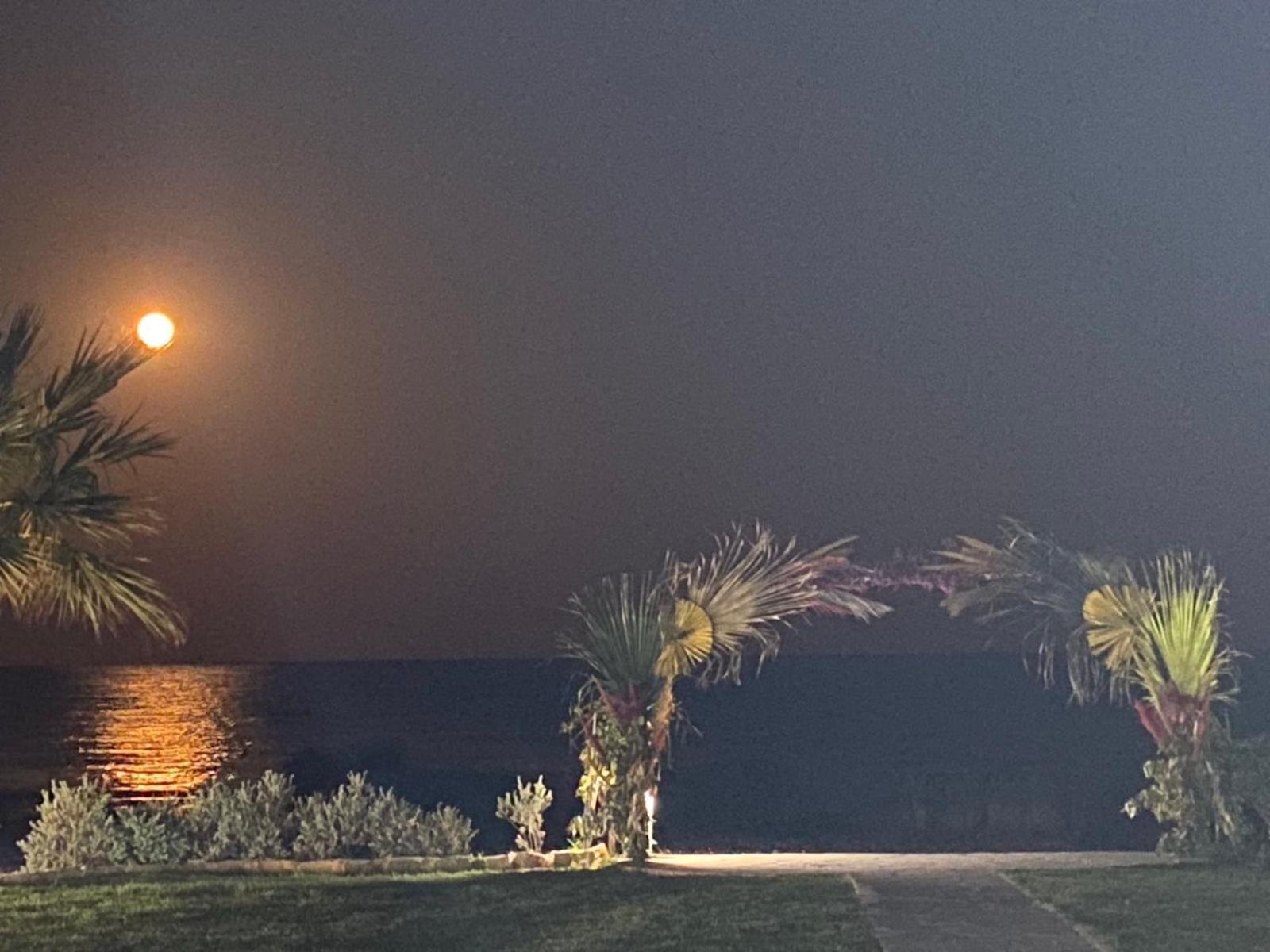 Ionion Beachfront Villa Ayía Nápa Extérieur photo