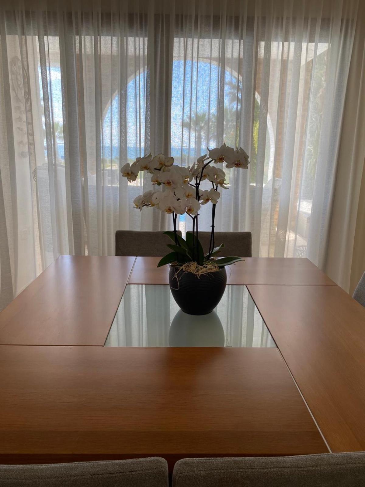 Ionion Beachfront Villa Ayía Nápa Extérieur photo